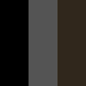 Color 5