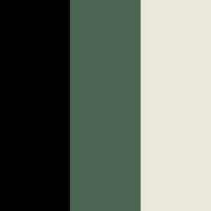 Color 5